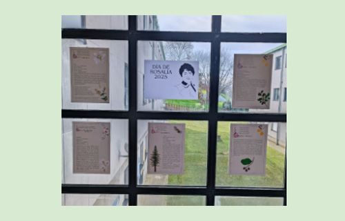 O herbario de Rosalía