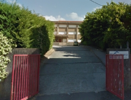 Un verso e unha flor para Rosalía