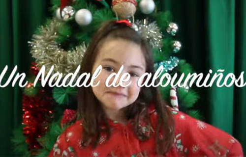 Tempo de panxoliñas