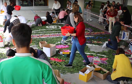 Sons da frouxeira (Maios)