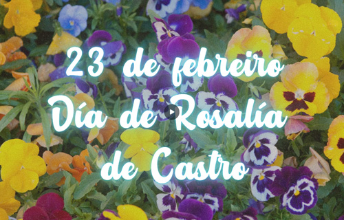 Día de Rosalía: xardín de pensamentos
