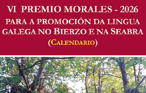 VI Premio Morales 2026