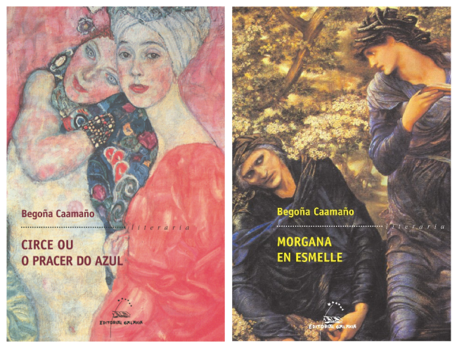 Libros de Begoña Caamaño