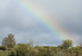 Unidade 9. Que tempo deu para a fin de semana?