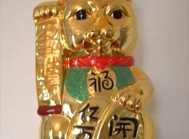 Unidade 8. Somos diferentes