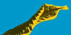 Programa 2 (Emitido o 8 de xullo de 2006)