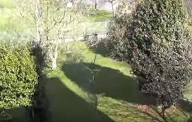 O Xardín de Ribadeo e "As pozas demoradas"