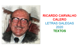 Actividades interactivas de Ricardo Carvalho Calero