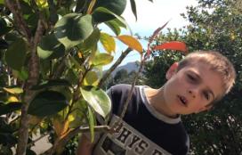 IV Concurso de booktrailers