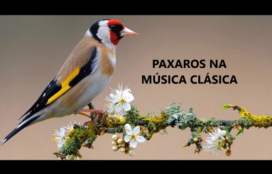 Os paxaros na música clásica