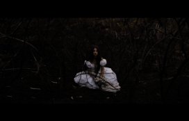 Araña. Yolanda Castaño