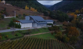 Entre Viñas. Cristian Leggiero e Paty Lesta