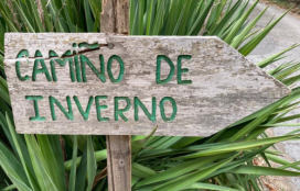 As E-tapas do Camiño de Inverno. Carlos Álvarez Taboada