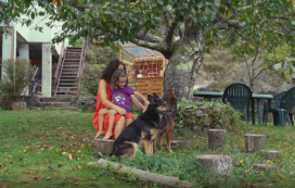 Crianza. Sétima SCG