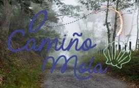 O Camiño mola, de Santiago ao Faro de Fisterra. María Isabel Villanueva