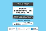 Curso intensivo de galego: lingua, cultura e literatura