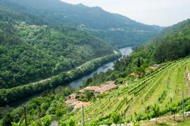 10 plans para descubrir a Ribeira Sacra. Alberto Ribas Álvarez