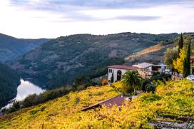 10 plans para descubrir a Ribeira Sacra. Alberto Ribas Álvarez