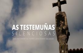 As testemuñas silenciosas. Arturo Ferreiro Herves