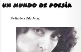 Libro de poesía