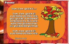 Catálogo sobre o magosto e o outono