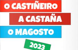A castaña, o castiñeiro e o magosto 2023