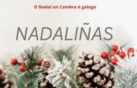 Nadaliñas