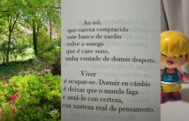 Videopoema de Luísa Villalta