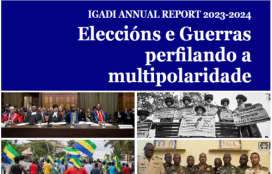 Informe anual do IGADI 2023-2024
