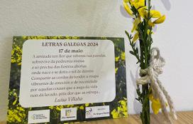 Postal de Luísa Villalta: versos, verbas e xestas