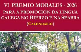 VI Premio Morales 2026