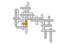 XXVII Encontros para a normalización lingüística