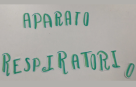 Ciencia en &lt;em&gt;stop motion&lt;/em&gt;